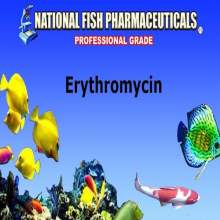 Erythromycin Powder