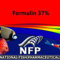 Formalin 37