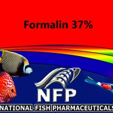 Formalin 37