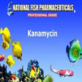 Kanamycin Sulfate Powder