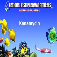 Kanamycin Sulfate Powder
