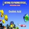 Oxolinic Acid Powder
