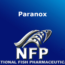 Paranox